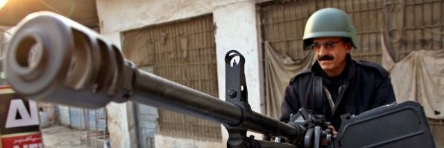 Vigorous Falcon banner