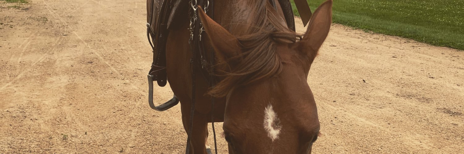 olivia_abt's profile banner image