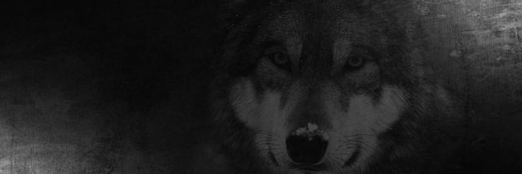 hakkar76's profile banner image