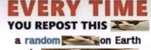 Ark3Doctor Profile Banner