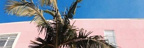 laurenDoyle655's profile banner image