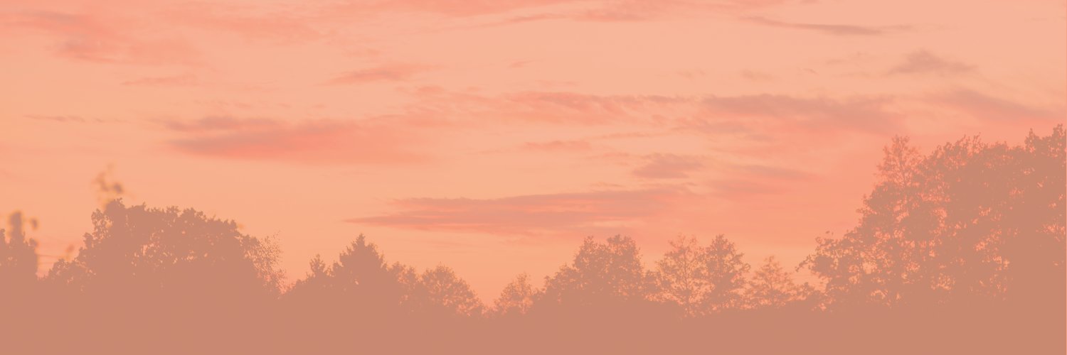 🌸 banner