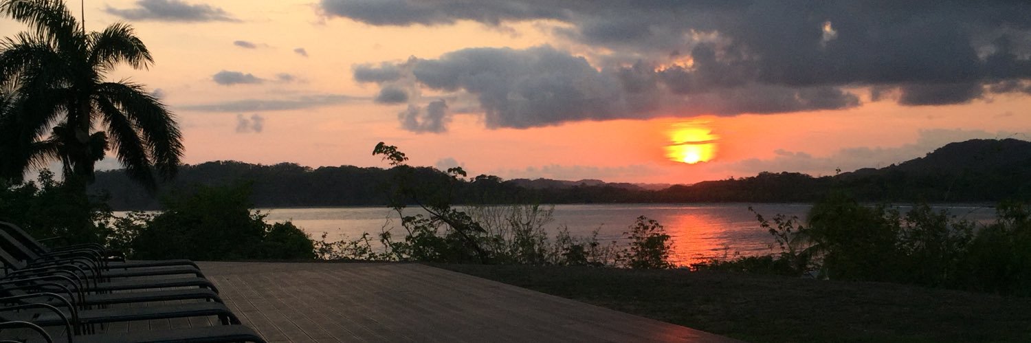 laurisrom29's profile banner image