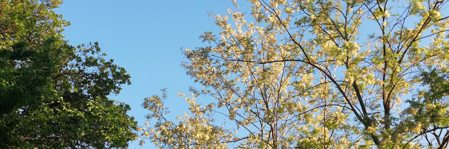 _giuulii's profile banner image