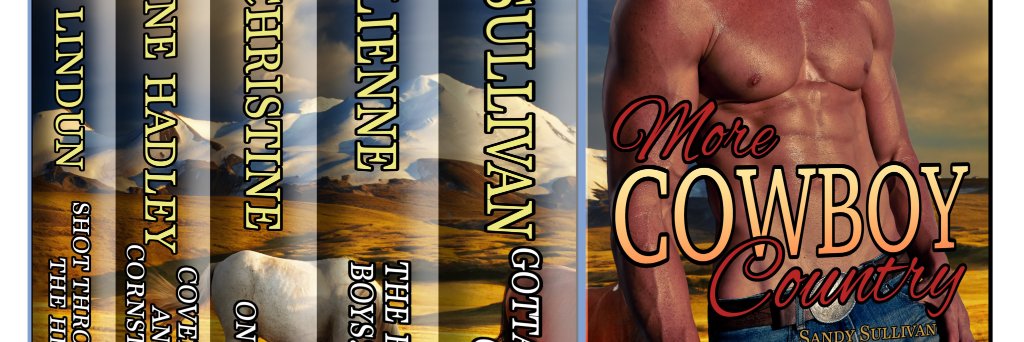 DLindun's profile banner image