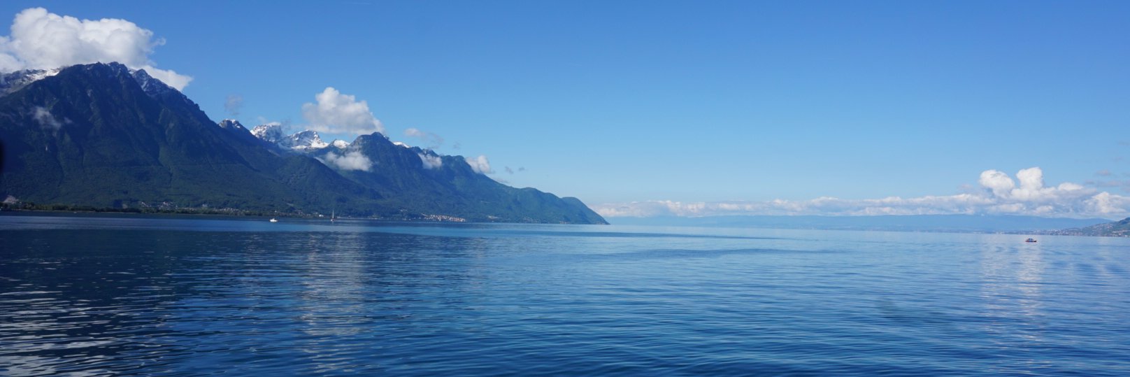 realDylanTan's profile banner image