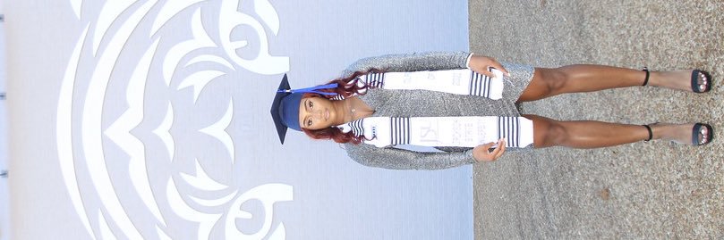sydni💙✨ banner