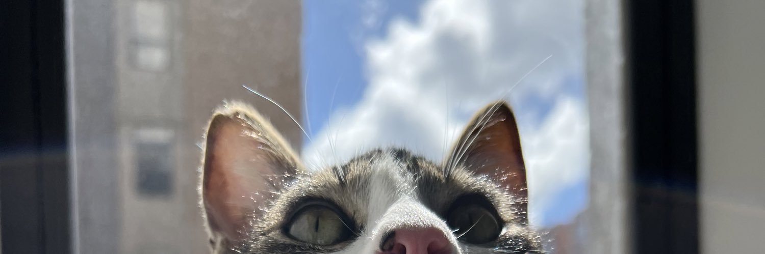 lauracaceresmm's profile banner image