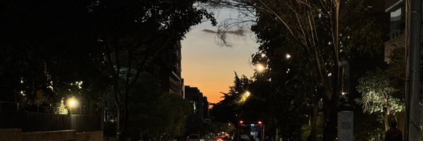 Luciafillippo Profile Banner