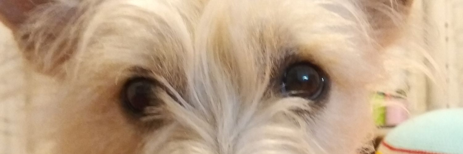2625Lor's profile banner image
