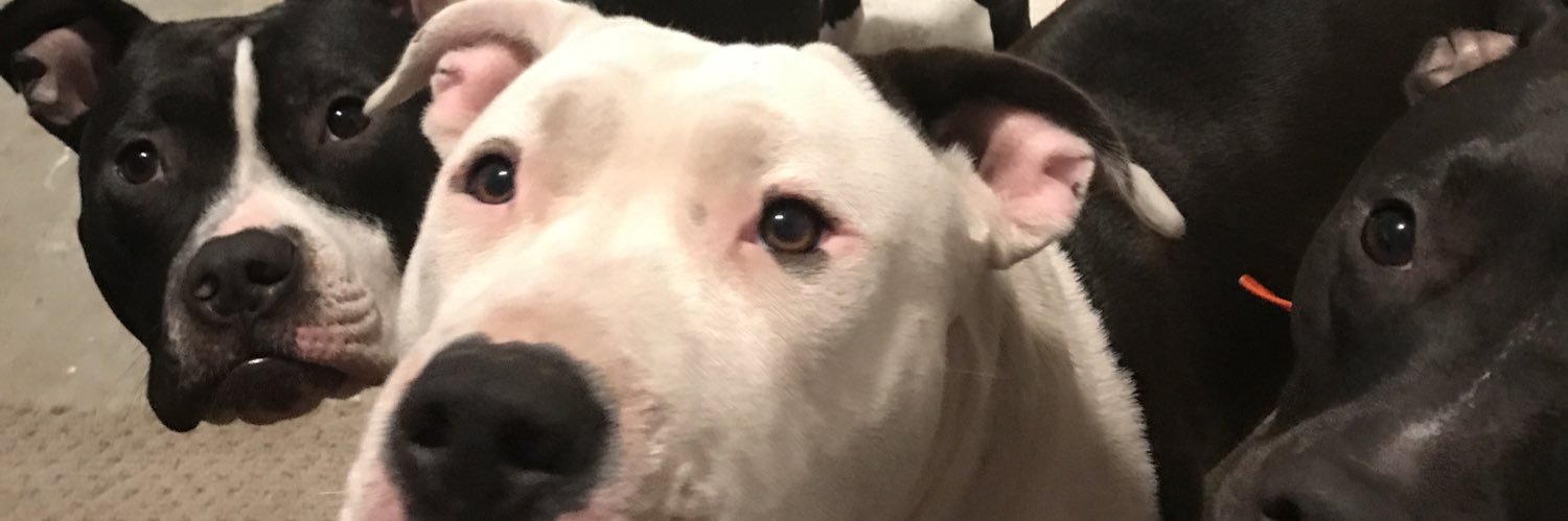 JohnBaile's profile banner image