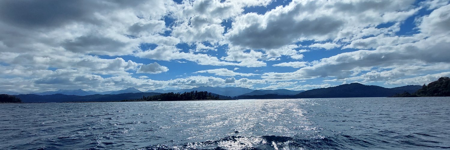 Mariana_Morelli's profile banner image