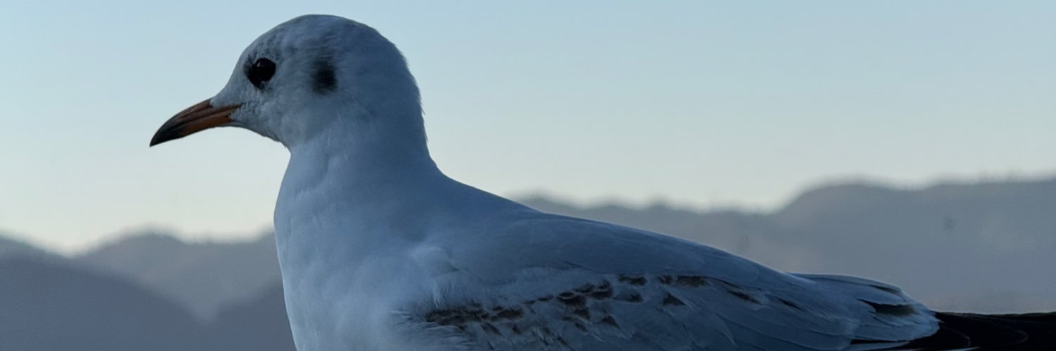 crypto7711's profile banner image