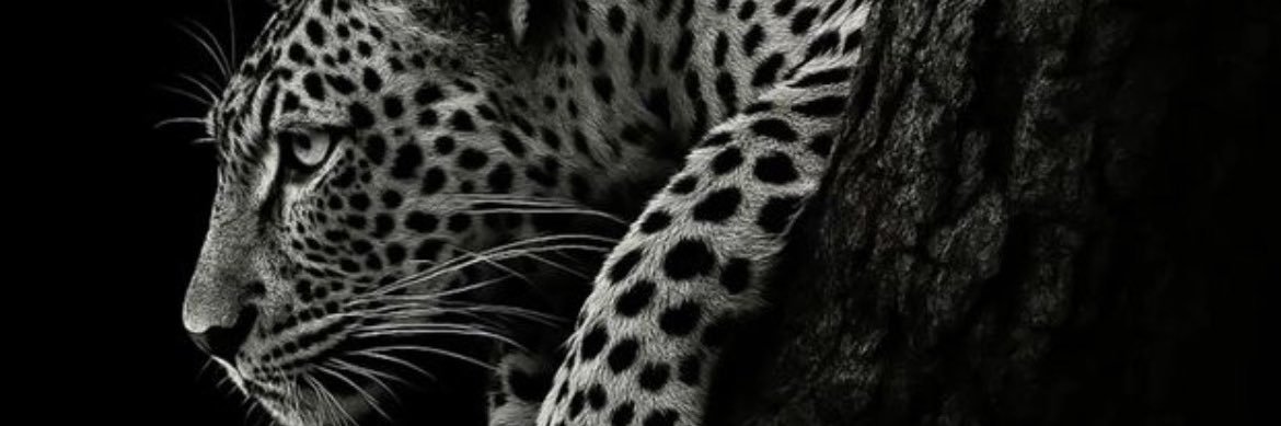 s_rastin1's profile banner image