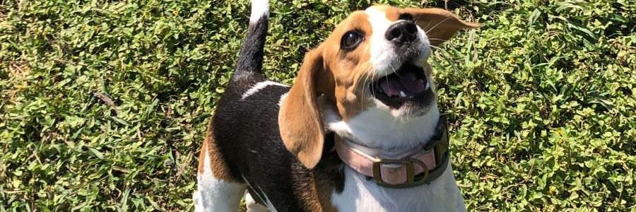 marcelaabrego's profile banner image