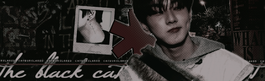 catburglared's profile banner image