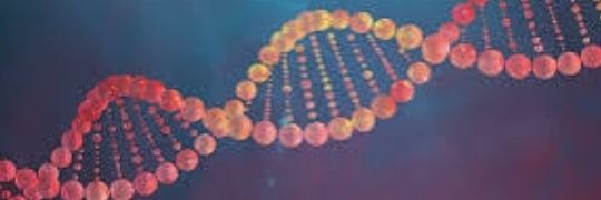 🧬 سليل الخليلﷺ 👑🕋 banner