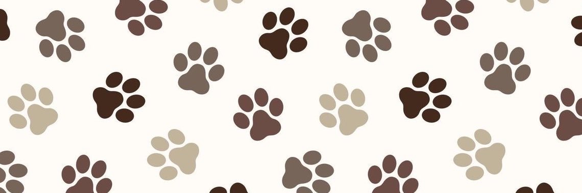 brattiestpup_'s profile banner image