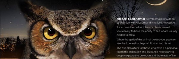 TheRoyalOwl00 Profile Banner