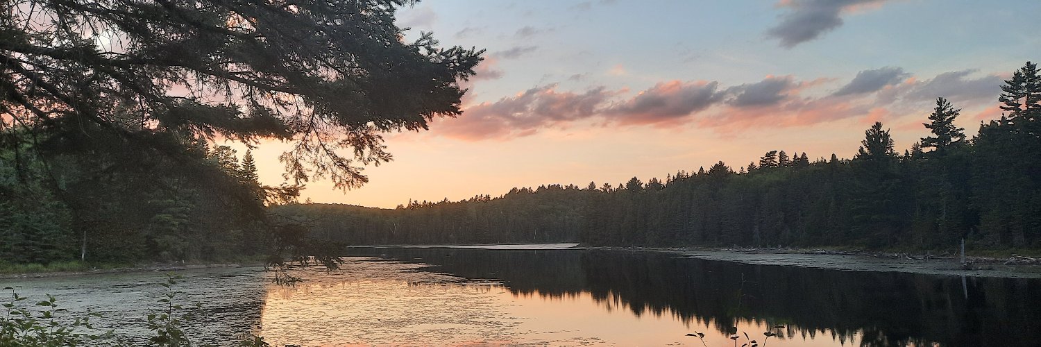 Field Research in Eco-Evo Diversified banner