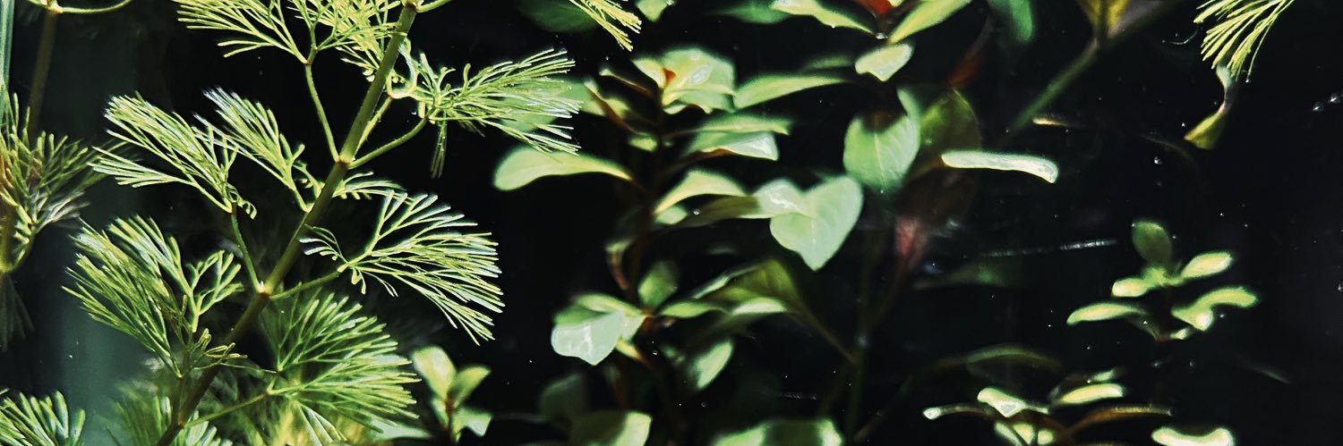 JasiveKb's profile banner image