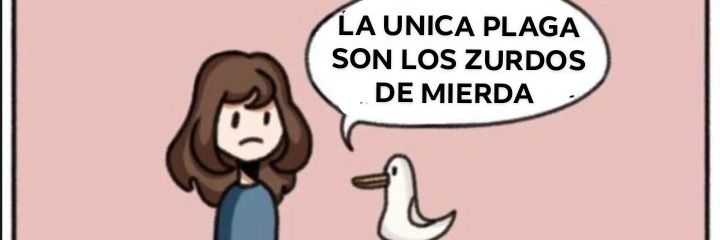 Deboh Kim*⁠.⁠✧ banner