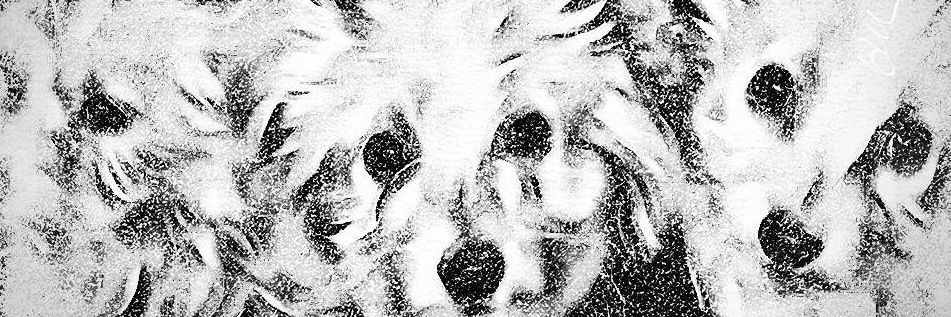 RaoufRais11's profile banner image