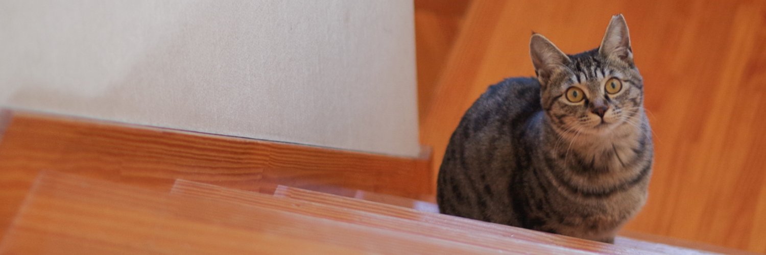 0ptima's profile banner image