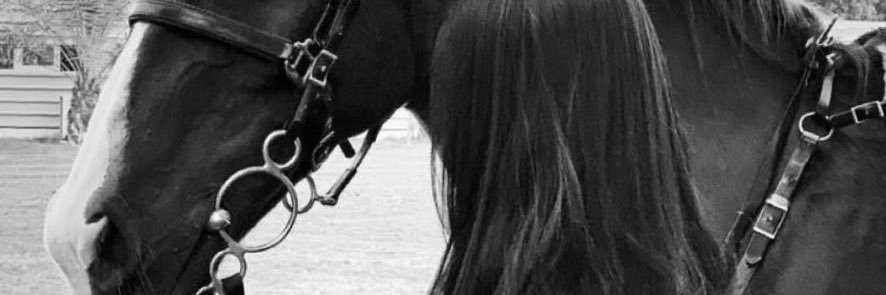 ❤️ عين ❤️ banner