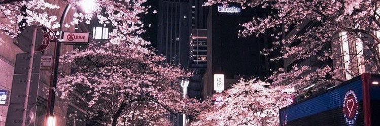 A04799167's profile banner image