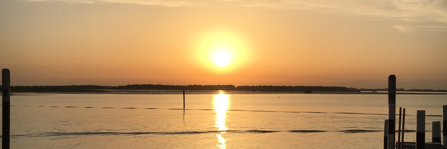 MariSteffanello's profile banner image