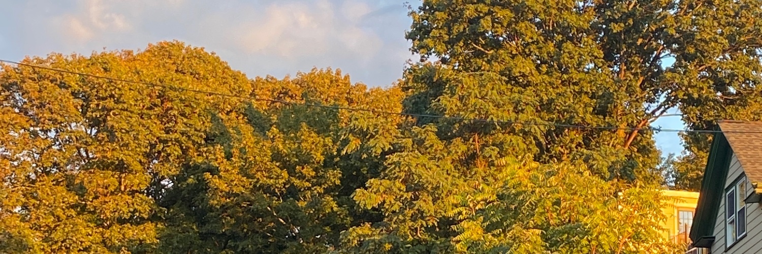 bartgummie's profile banner image