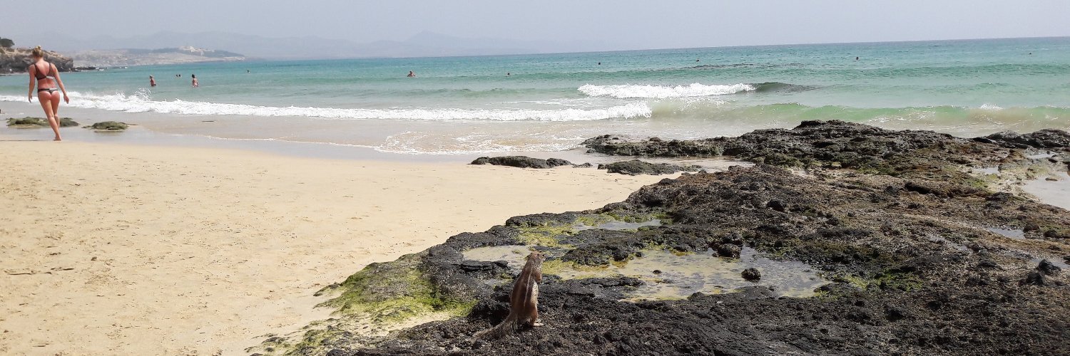 🌹🏴󠁧󠁢󠁥󠁮󠁧󠁿Que sera sera banner