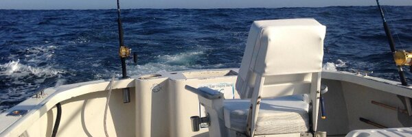 PelicanAM Profile Banner