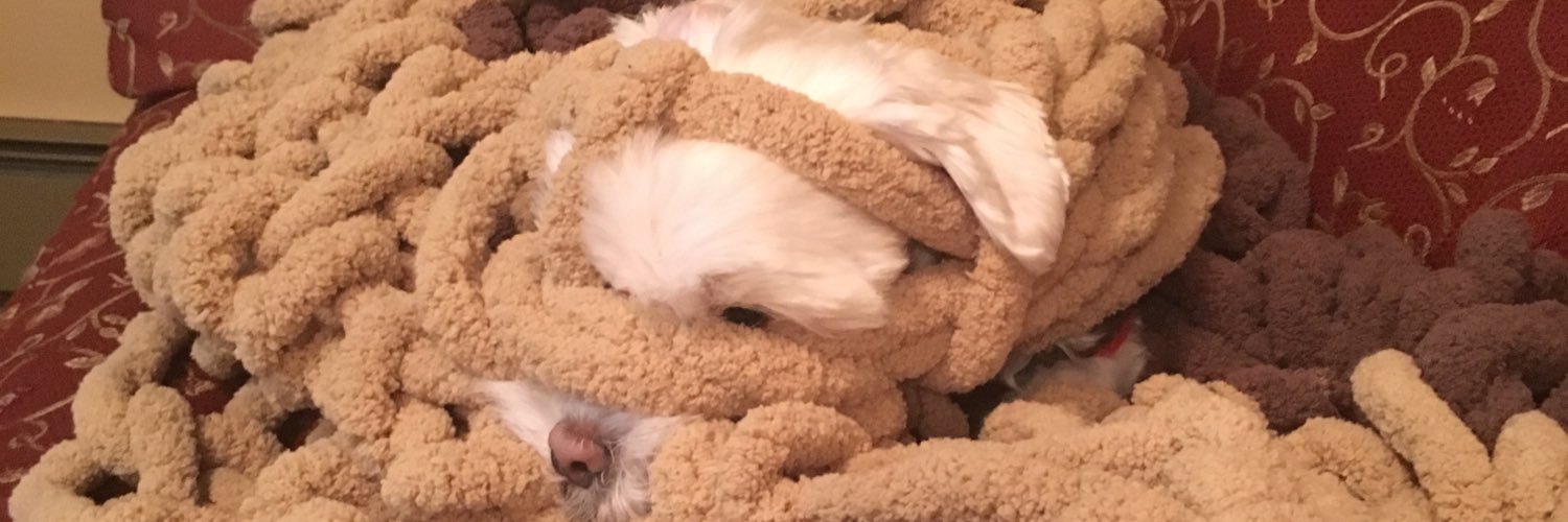 nicoleeeereneee's profile banner image