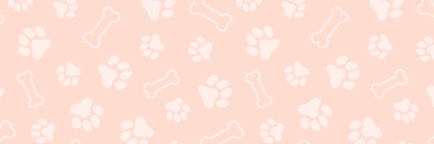 toddlrpartz's profile banner image