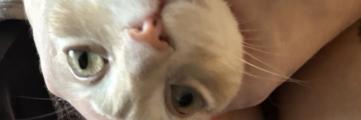 maybemarg's profile banner image