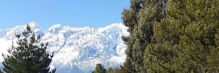 repupilliazul's profile banner image