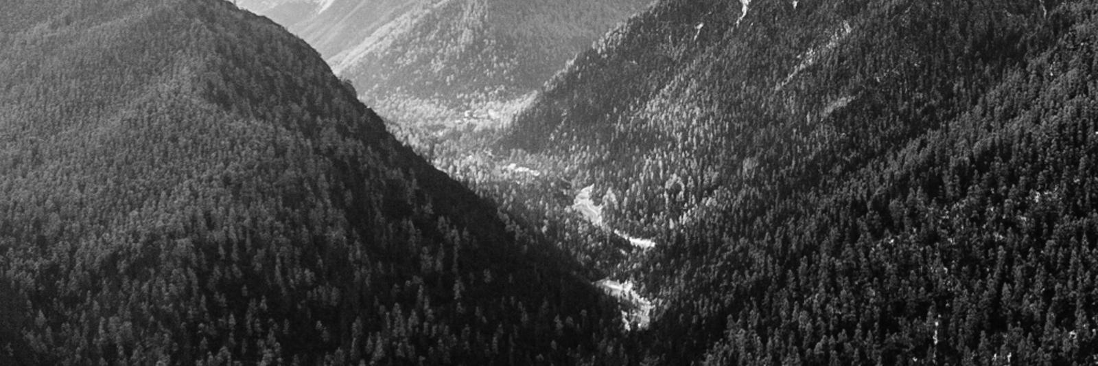 studio_d_rad's profile banner image