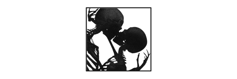 THEFACTlON's profile banner image