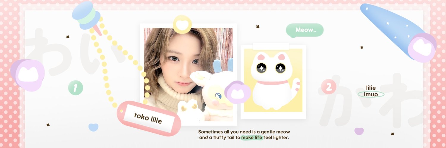 lilie meonk🐈 banner