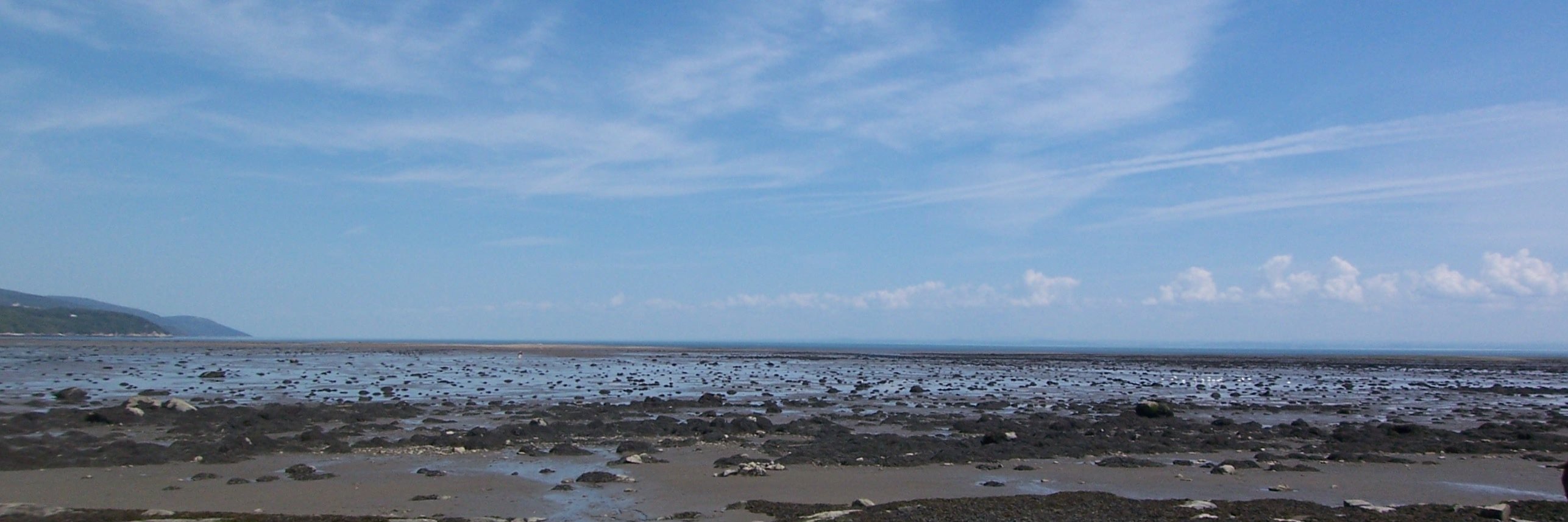 Hugh Taft-Morales banner