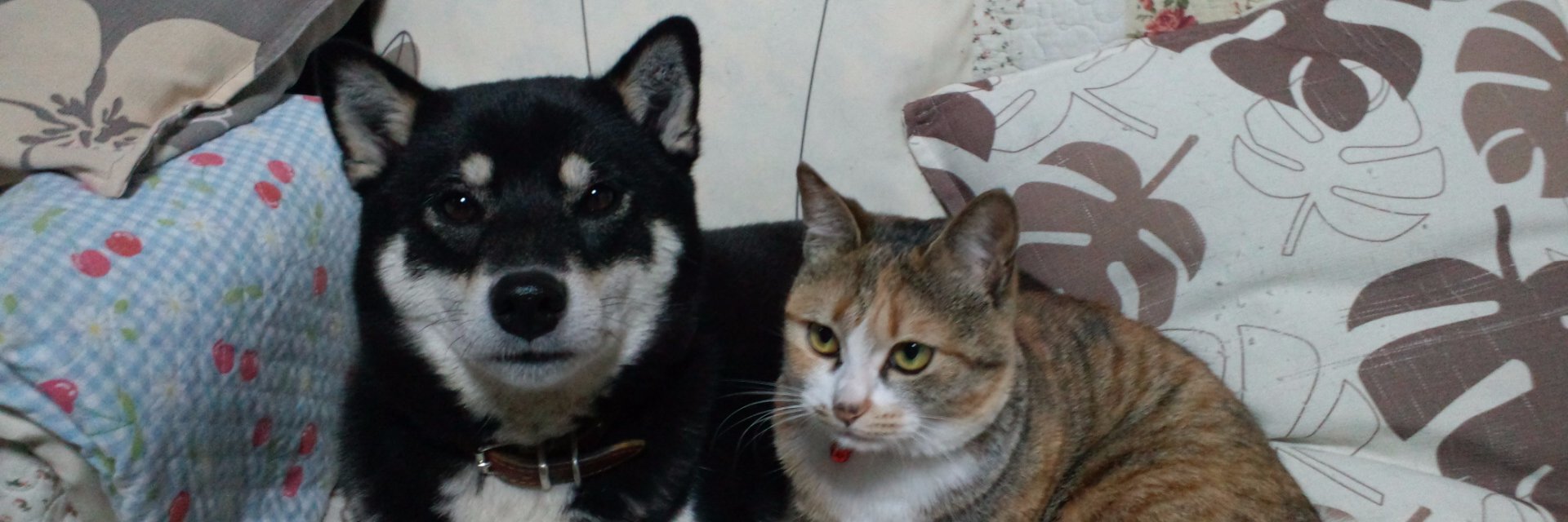 ojisama13's profile banner image