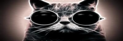 adamonathef3746's profile banner image