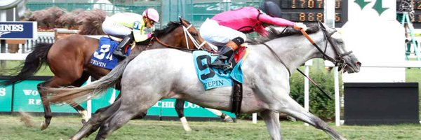 LEMBstables Profile Banner