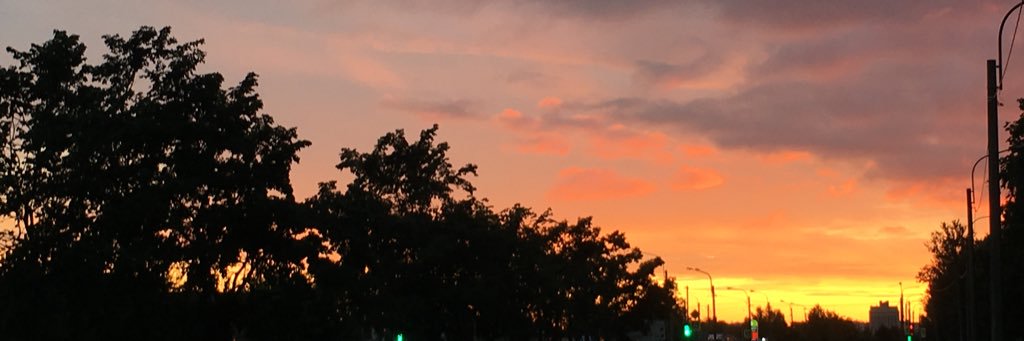pawQa322's profile banner image