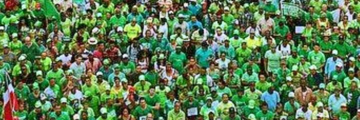 Falpo Gran Santo Domingo banner