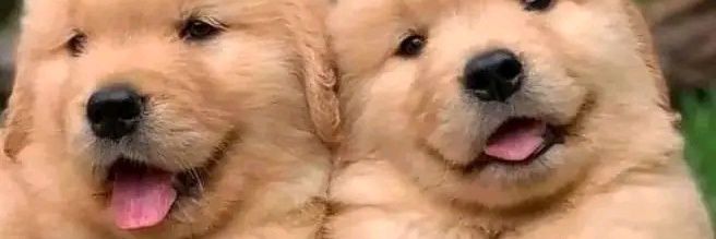 napyblack3's profile banner image