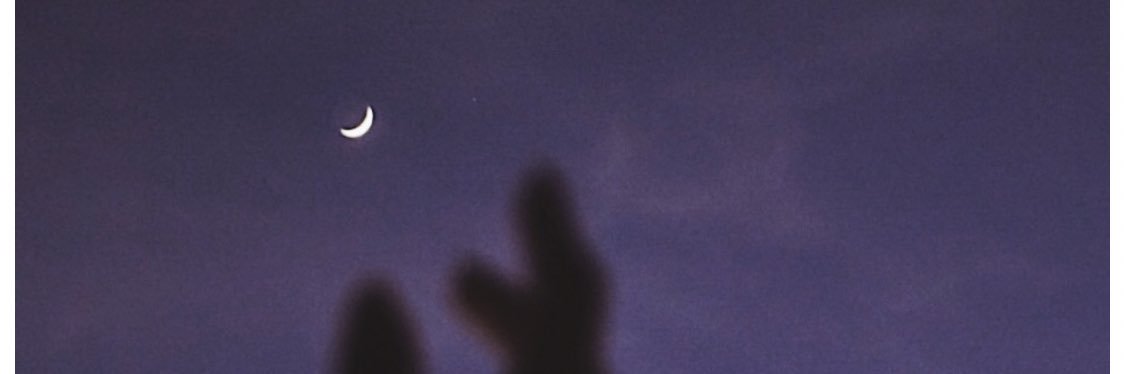 verolguiin's profile banner image
