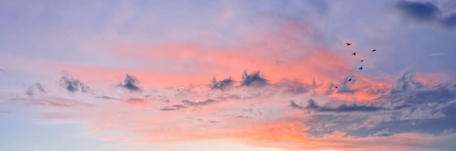 Agustina banner